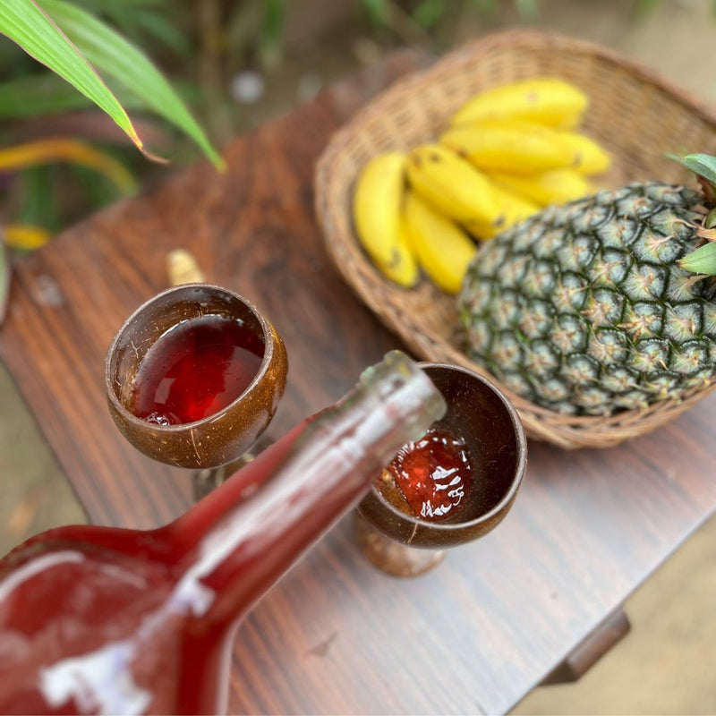 Coconut Shell & Wooden Wine Glasses | Red Wine Glasses (Set of 2) | Verified Sustainable Glasses & Tumblers on Brown Living™