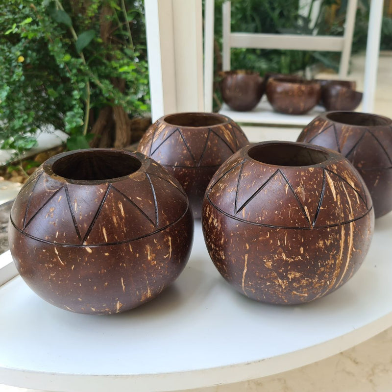 Coconut Shell Zig Zag Planter Pots | Ideal for Small Plants (Set of 1) | Verified Sustainable Pots & Planters on Brown Living™