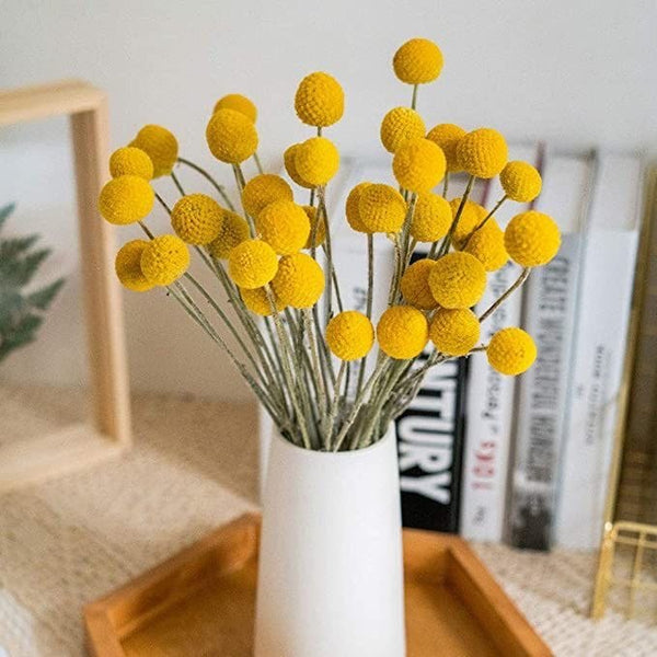 Dried Billy Ball- Yellow | Verified Sustainable Decor & Artefacts on Brown Living™