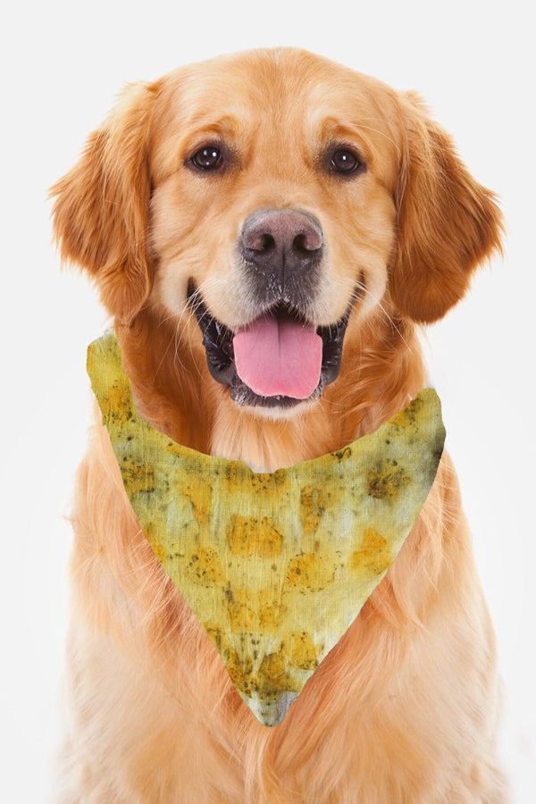 Eco Printed Organic Cotton Pet Scarf - Yellow White | Verified Sustainable Pet Accessories on Brown Living™