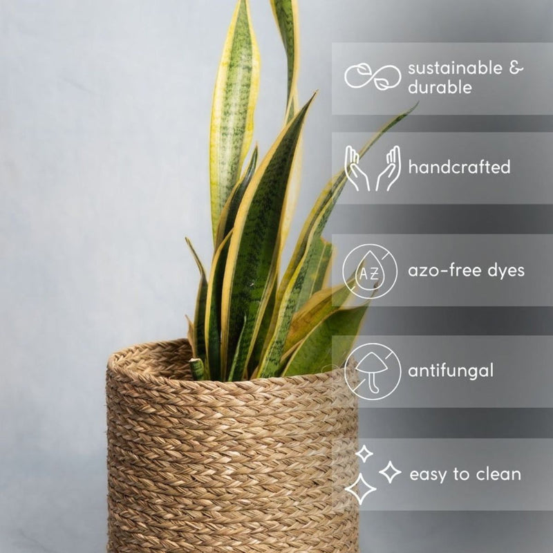 Handmade Sabai Grass Planter - Natural | Verified Sustainable Pots & Planters on Brown Living™