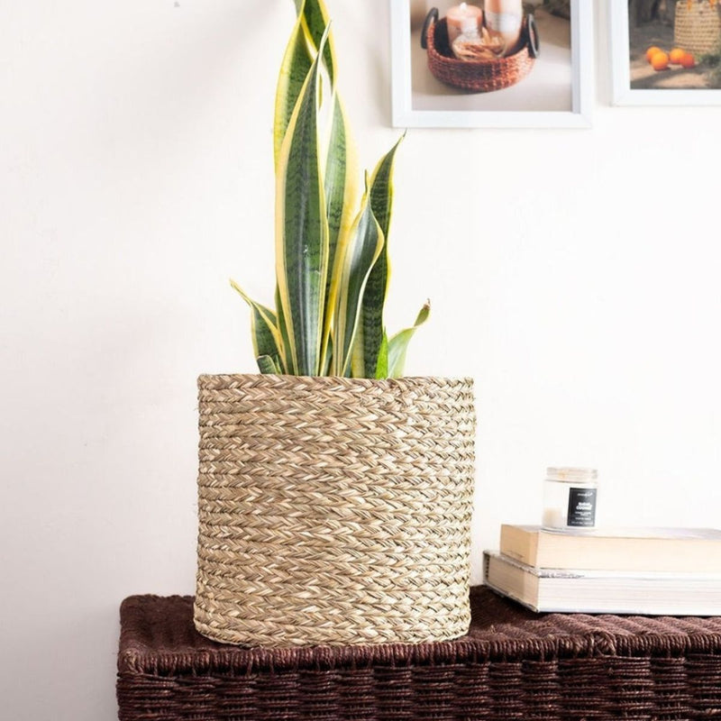 Handmade Sabai Grass Planter - Natural | Verified Sustainable Pots & Planters on Brown Living™