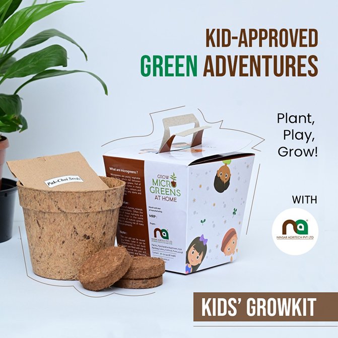 Kids DIY Microgreens Kit - Amaranth and China Rose Radish seeds | Verified Sustainable Seeds on Brown Living™