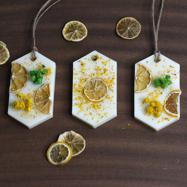 Lemon Hexa Sachet | Verified Sustainable Wax Sachets & Fragrance on Brown Living™