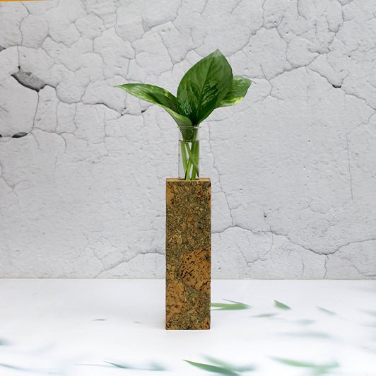 Long Cork Fridge Planter | Verified Sustainable Pots & Planters on Brown Living™