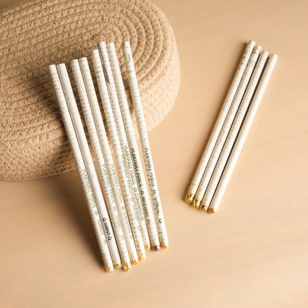 Plantable Seed Pencils | Stationery | Set of 3 | Verified Sustainable Pens & Pencils on Brown Living™