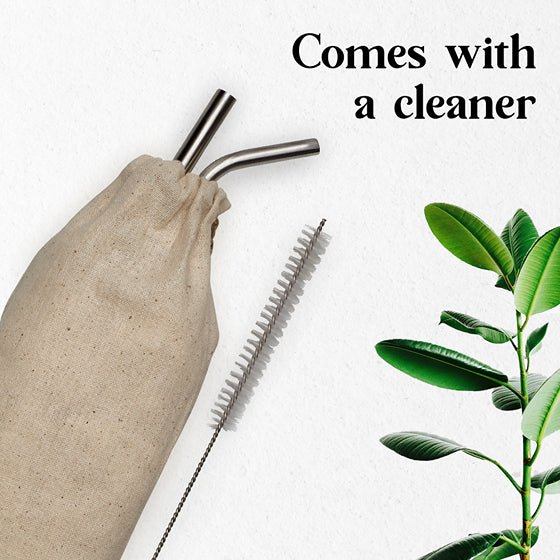 Reusable & Eco - friendly Stainless Steel Straws - Pack of 2 | Verified Sustainable Drinking Straws & Stirrers on Brown Living™