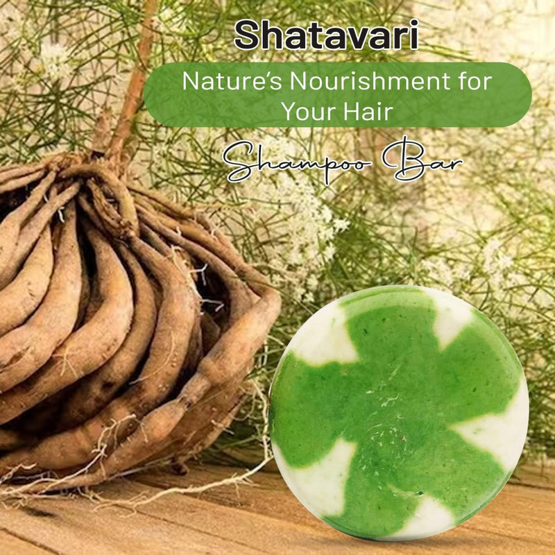 Shampoo bar - Ginkgo Biloba , Shatavari | Anti Hair loss | Verified Sustainable Hair Shampoo Bar on Brown Living™