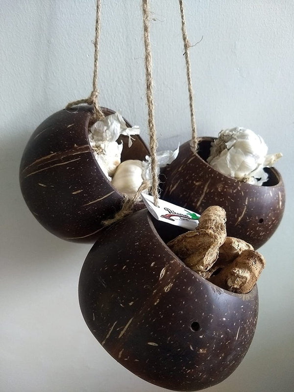 Buy 3 Coconut shell bowls with Jute thread for storage | Shop Verified Sustainable Kitchen Organisers on Brown Living™