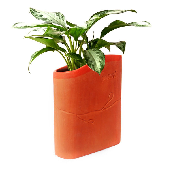 Buy BUUK Terracotta Planter | Shop Verified Sustainable Products on Brown Living