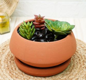 Buy Clay Pots for Plants | Bonsai Pot | Terracotta Pots for Plants | Plants Pots | Shop Verified Sustainable Pots & Planters on Brown Living™