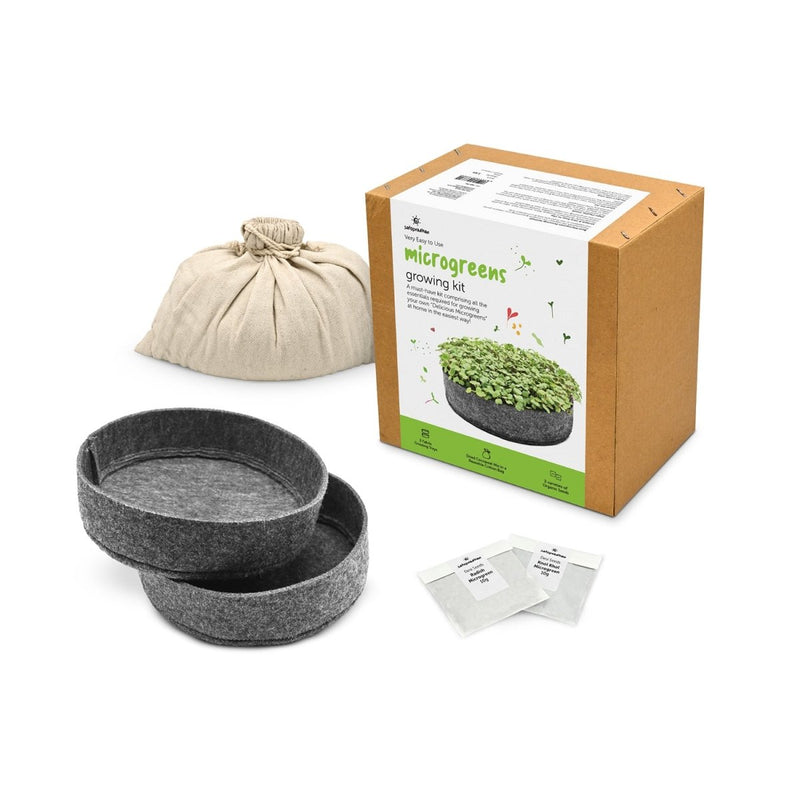 Buy DIY Ready to Use Microgreen Growing Kit | Shop Verified Sustainable Products on Brown Living