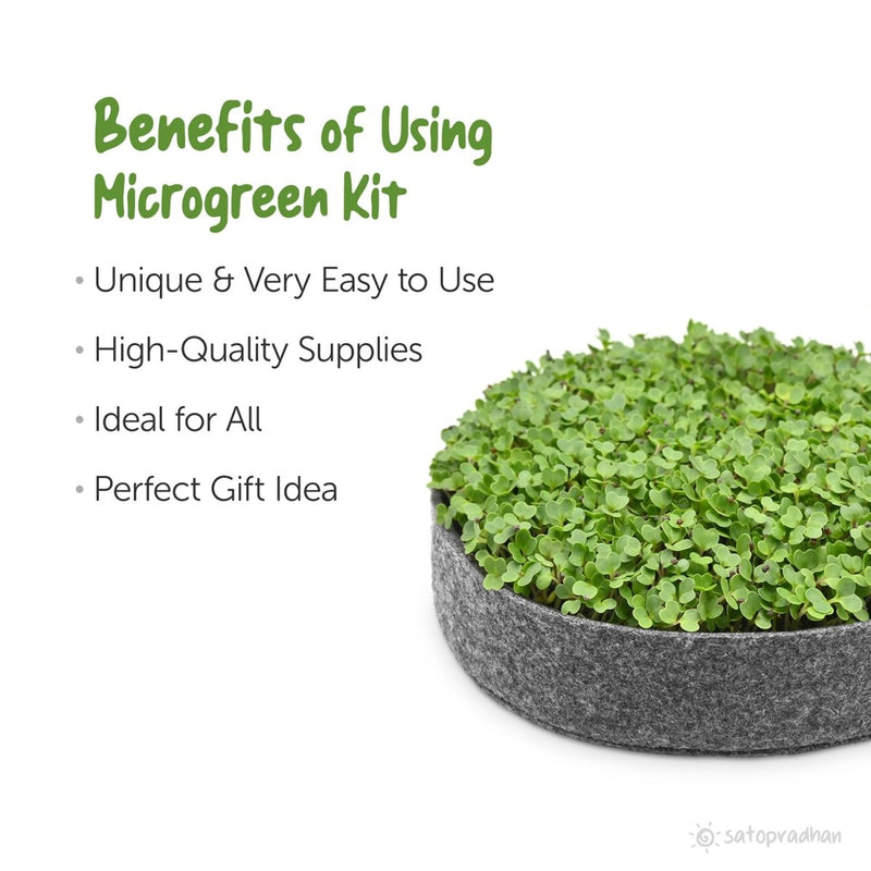 Buy DIY Ready to Use Microgreen Growing Kit | Shop Verified Sustainable Products on Brown Living