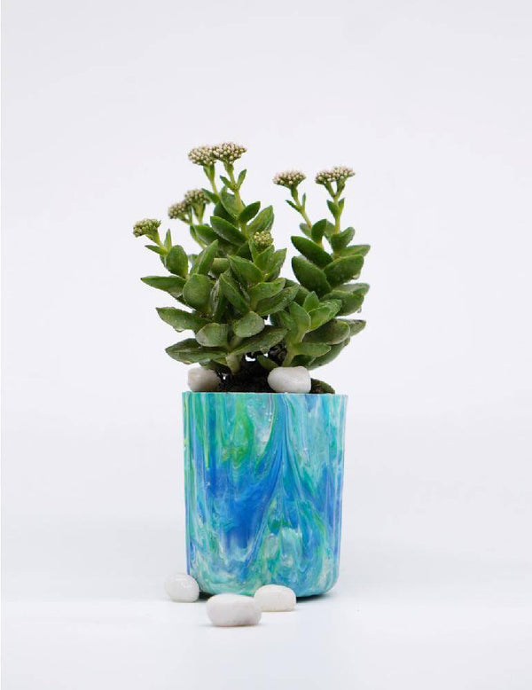 Buy EcoPots Planter- Aquamarine | Shop Verified Sustainable Pots & Planters on Brown Living™