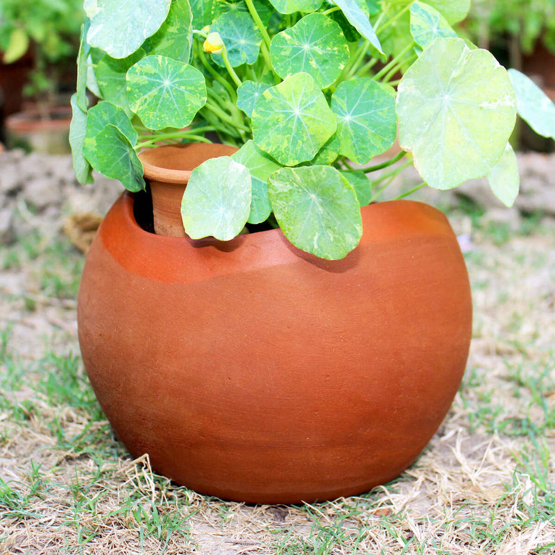 Buy GLO (XL)Terracotta Planter with Deep Root Watering System Set of 2 | Shop Verified Sustainable Products on Brown Living