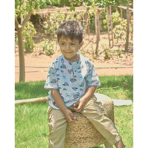 Buy Happy Hedgehogs Boys Kurta | Shop Verified Sustainable Kids Tops on Brown Living™