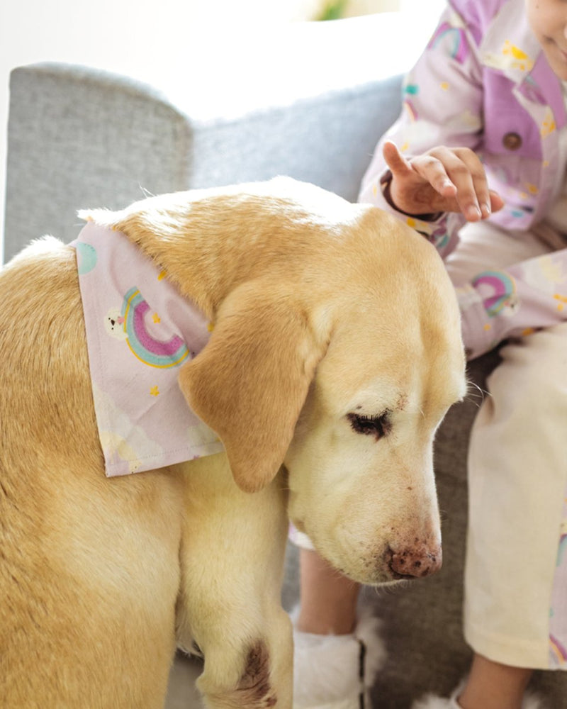 Buy In the Sky Bandana for Pets | Shop Verified Sustainable Pet Accessories on Brown Living™