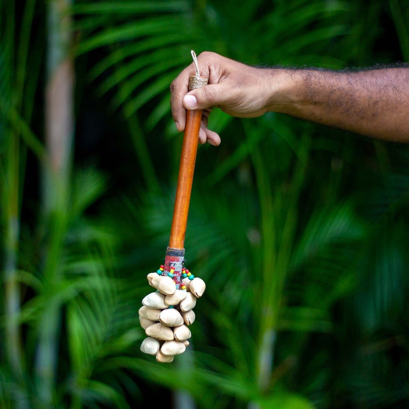 Buy Kenari Seed Rattle with Bamboo Handle | Shop Verified Sustainable Musical Instruments on Brown Living™