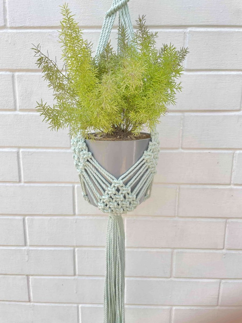 Buy Macrame Plant Hanger Diamond Mesh | Shop Verified Sustainable Pots & Planters on Brown Living™