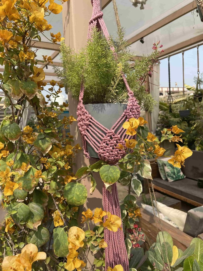 Buy Macrame Plant Hanger Diamond Mesh | Shop Verified Sustainable Pots & Planters on Brown Living™