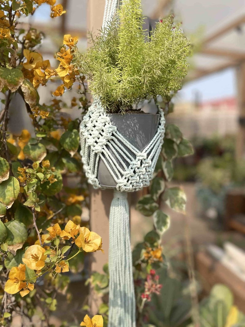 Buy Macrame Plant Hanger Diamond Mesh | Shop Verified Sustainable Pots & Planters on Brown Living™