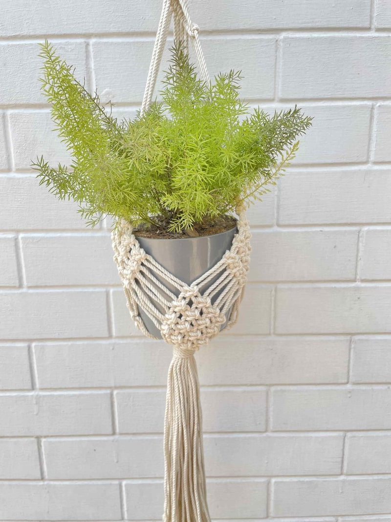 Buy Macrame Plant Hanger Diamond Mesh | Shop Verified Sustainable Pots & Planters on Brown Living™