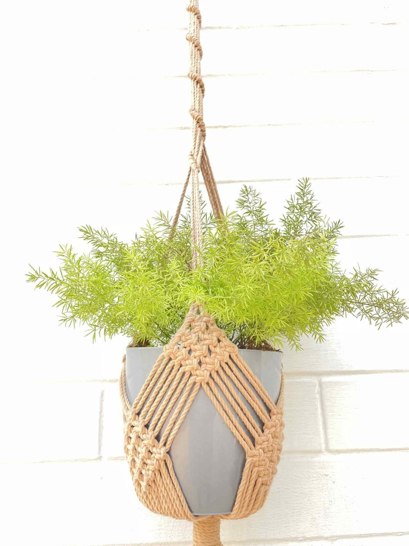 Buy Macrame Plant Hanger Diamond Mesh | Shop Verified Sustainable Pots & Planters on Brown Living™