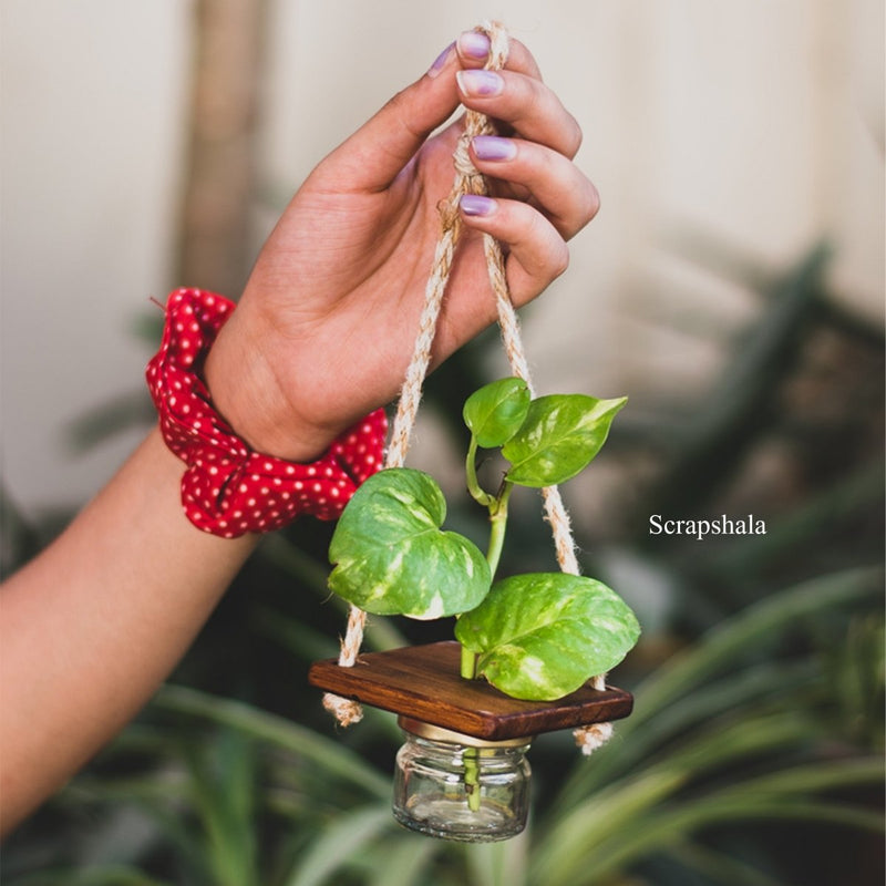 Buy Mini Jar Hanging Planter | Multipurpose | Upcycled | Shop Verified Sustainable Pots & Planters on Brown Living™