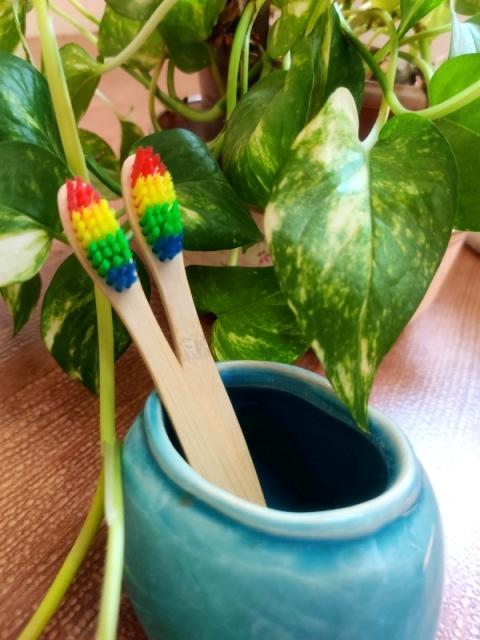 Buy Natural Bamboo Toothbrush for Kids - Rainbow Bristles | Shop Verified Sustainable Tooth Brush on Brown Living™