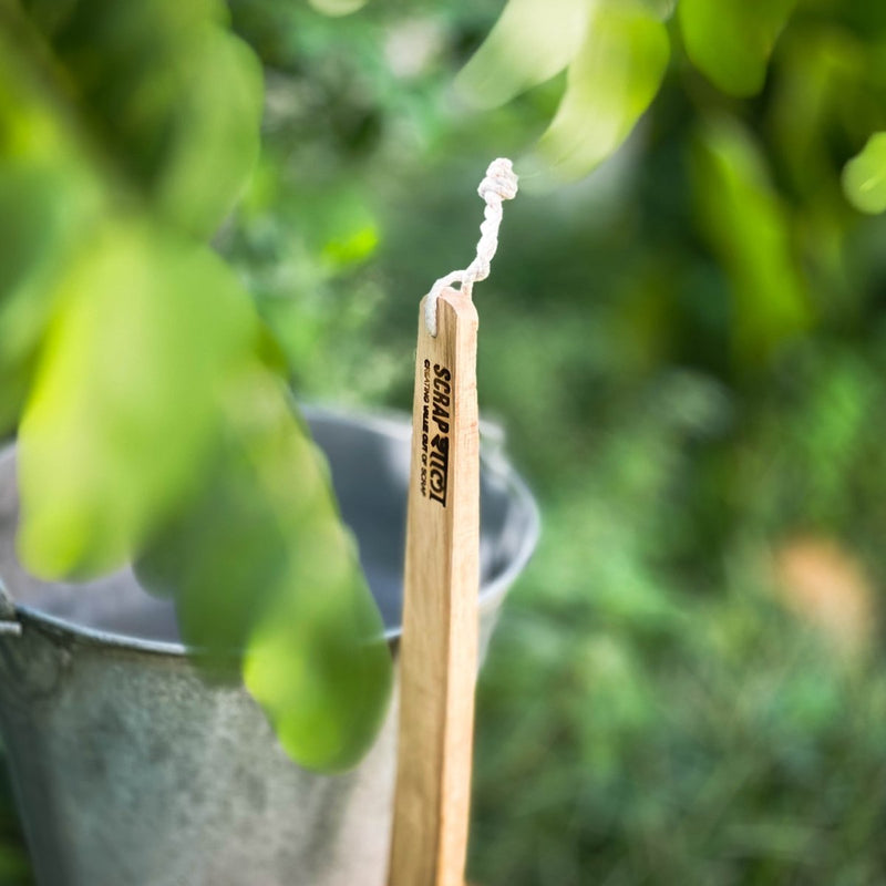 Buy Natural Coir Toilet Cleaning Brush | Sturdy | Long Handle | Biodegradable | Plastic-free | Shop Verified Sustainable Cleaning Supplies on Brown Living™