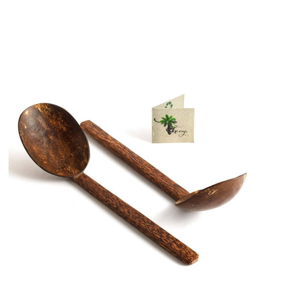 Buy Natural Handmade Coconut Shell Serving Spoon(Set of 2) | Shop Verified Sustainable Cookware on Brown Living™