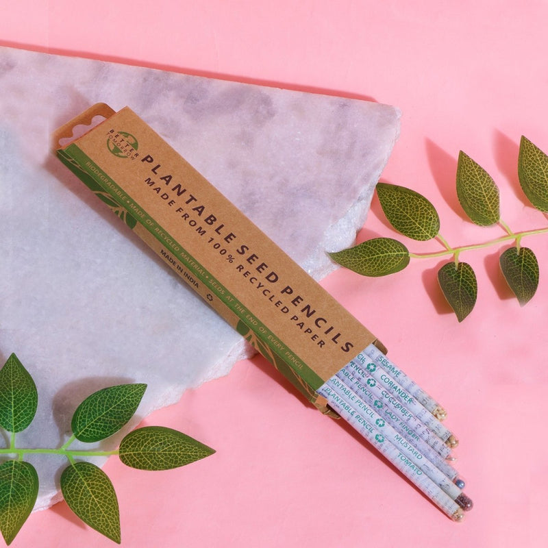 Buy Plantable Seed Pencils made of Recycled Newspaper - Pack of 6 Pencils | Shop Verified Sustainable Pencils on Brown Living™