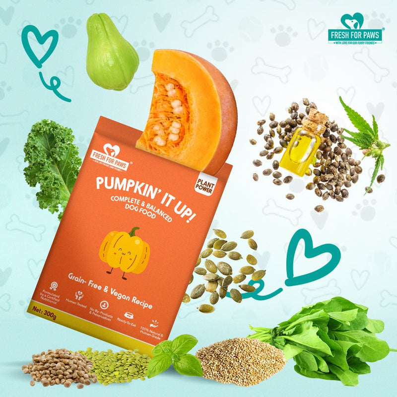 Buy Pumpkin It Up | 100 gram pack of 3 | Shop Verified Sustainable Pet Food on Brown Living™