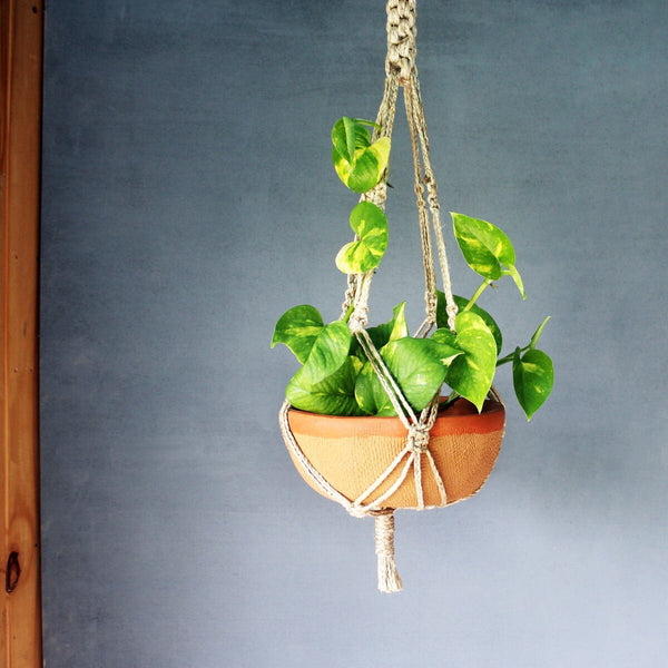 Buy Shallow Terracotta Planter with Jute Macrame Hanger | Shop Verified Sustainable Pots & Planters on Brown Living™