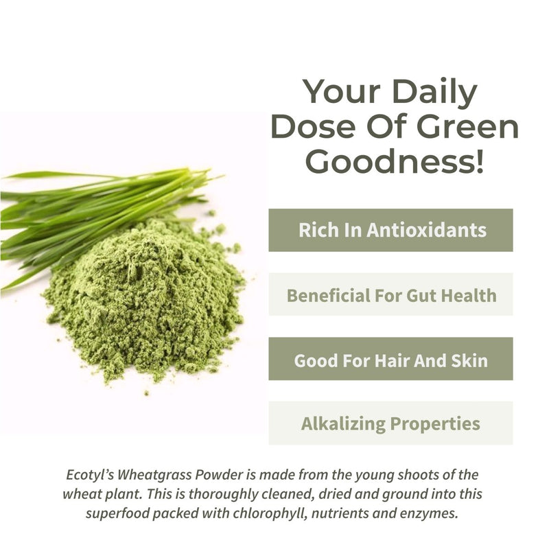 Buy Wheatgrass Powder | Superfood for Immunity & Detox- 100g | Shop Verified Sustainable Powder Drink Mixes on Brown Living™